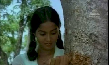 Thothiram Padiye songs lyrics from Alaigal Oivathillai tamil movie