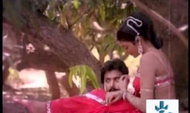 Paadum Paravaigal (1985) Songs Lyrics |பாடும் பறவைகள் பாடல் வரிக